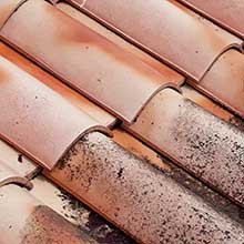 Toiture nettoyage, pose et réparation